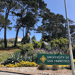 Tamwood-Camp-USF-Campusrand.jpg